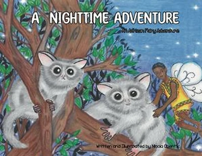 A Nighttime Adventure- An African Fairy Adventure