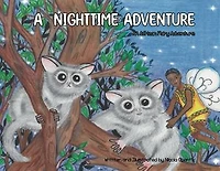 A Nighttime Adventure- An African Fairy Adventure