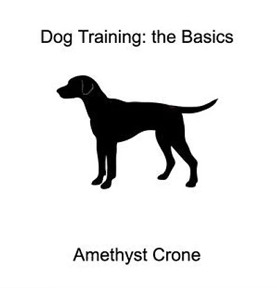 Dog Training: The Basics