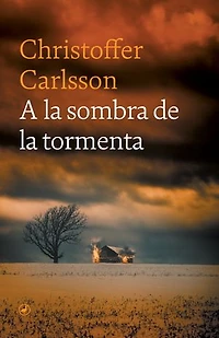 A la sombra de la tormenta