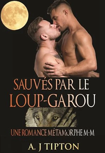 Sauvés par le Loup-Garou: Une Romance Métamorphe M-M: Loups-Garous de Singer Valley, #4