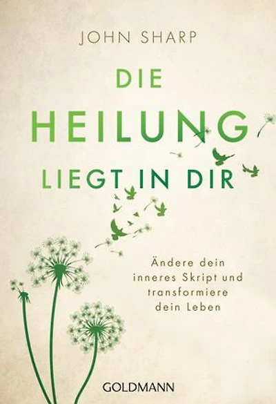 Die Heilung liegt in dir: Ändere dein inneres Skript und transformiere dein Leben