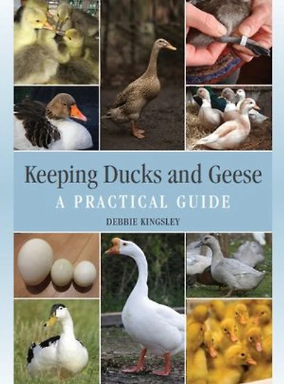 Keeping Ducks And Geese: A Practical Guide
