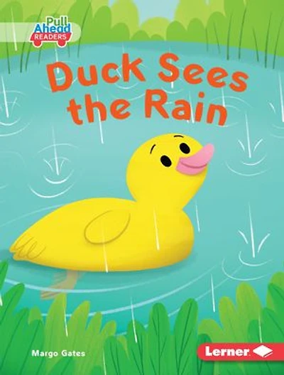 Duck Sees the Rain
