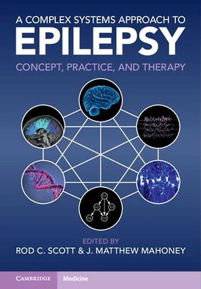A Complex Systems Approach to Epilepsy: Concept, Practice