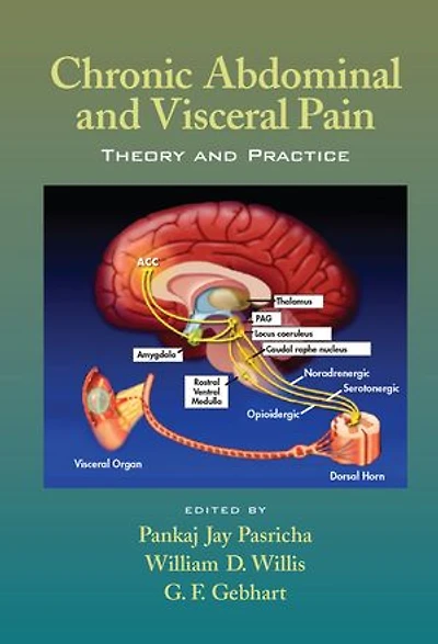 Chronic Abdominal and Visceral Pain: Theory Practice