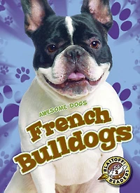 French Bulldogs