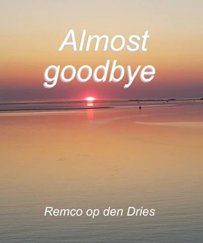 Almost Goodbye