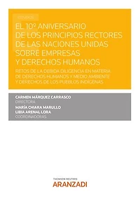 El 10º Aniversario de los Principios Rectores de las Naciones Unidas sobre empresas y derechos humanos: Retos de la debida diligencia en materia de Derechos Humanos y medio ambiente y derechos de los pueblos indígenas