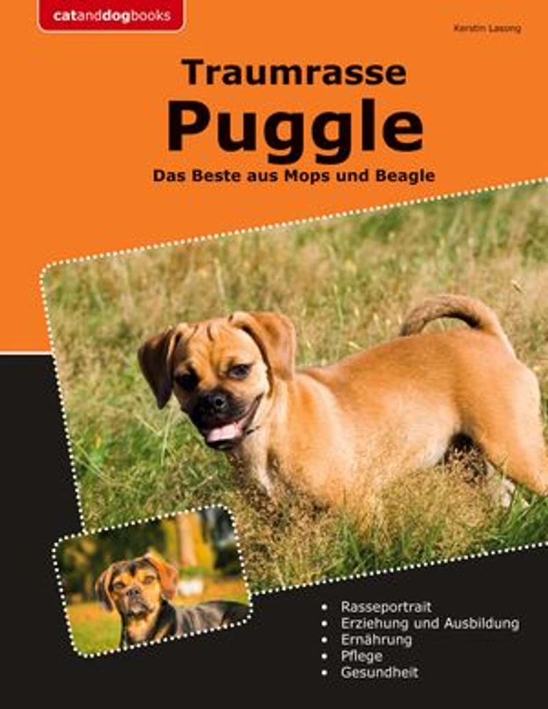 Traumrasse Puggle: Das Beste aus Mops und Beagle