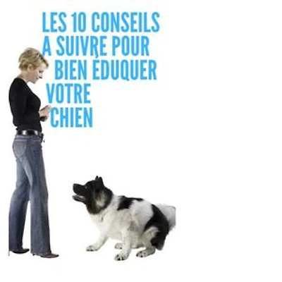 10 conseils à suivre pour bien éduquer votre chien
