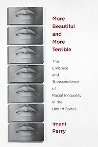 More Beautiful And Terrible: The Embrace Transcendence Of Racial Inequality United States
