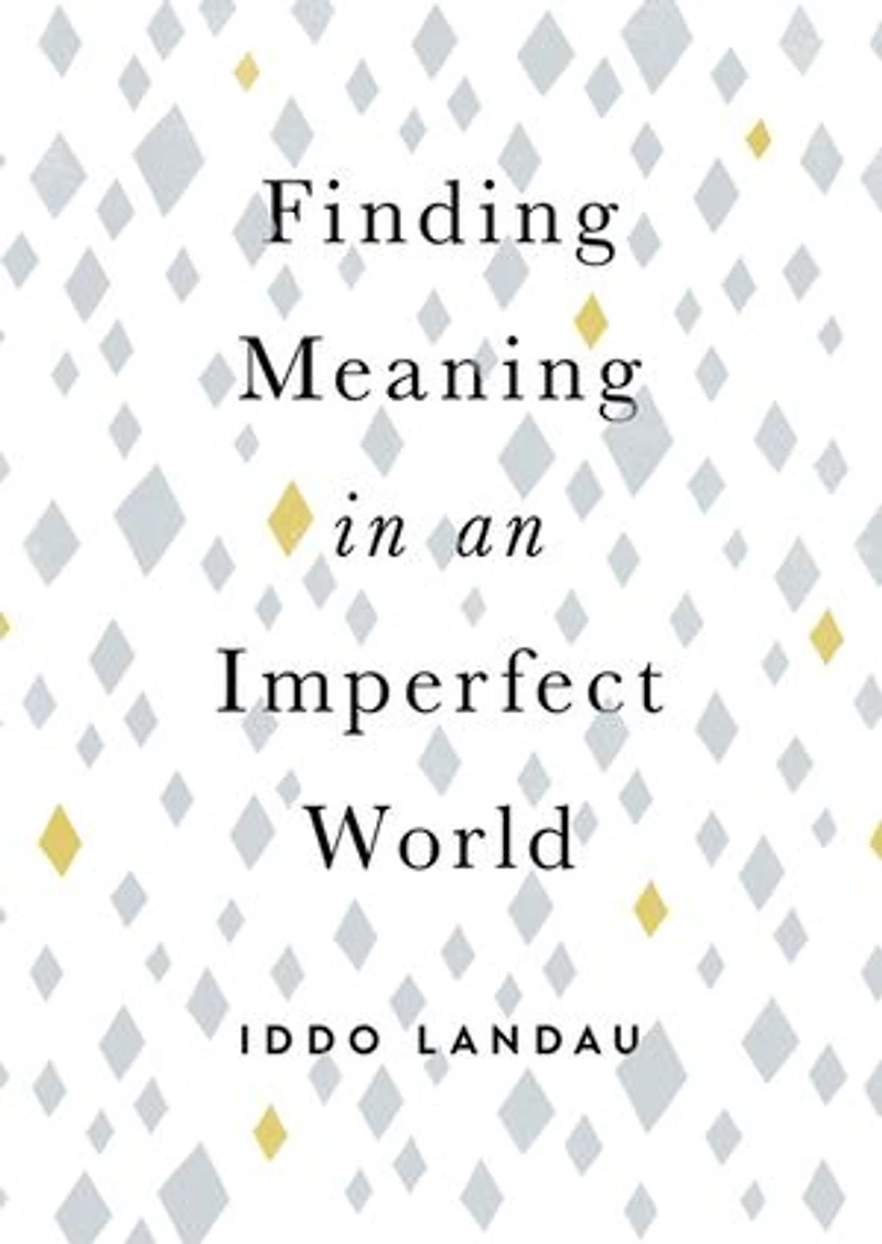 Finding Meaning An Imperfect World