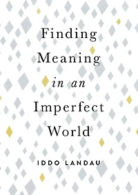 Finding Meaning An Imperfect World