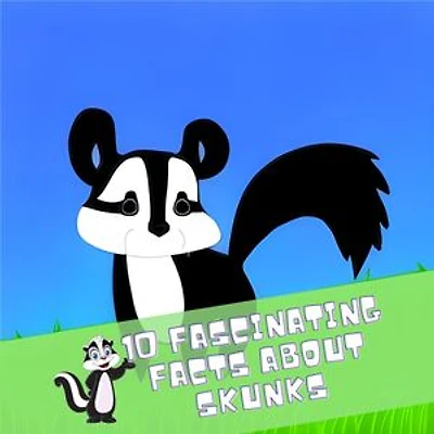 10 Fascinating Facts About Skunks: Discover the Amazing World of Skunks for Kids 3-5