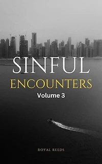 Sinful Encounters Volume 3: Sinful Encounters, #3