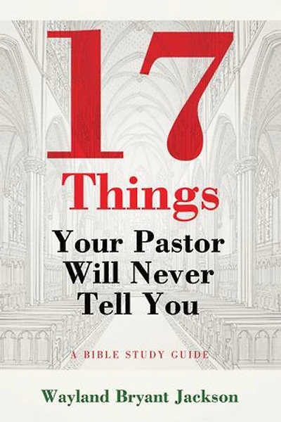 17 Things Your Pastor Will Never Tell You: A Bible Study Guide