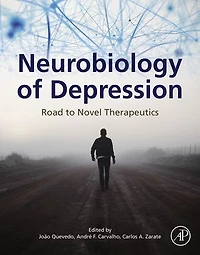 Neurobiology of Depression: Road to Novel Therapeutics