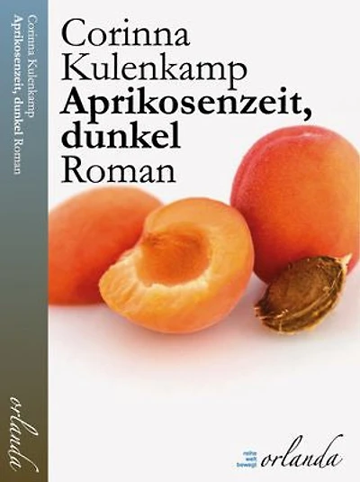 Aprikosenzeit, dunkel: Roman