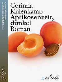 Aprikosenzeit, dunkel: Roman