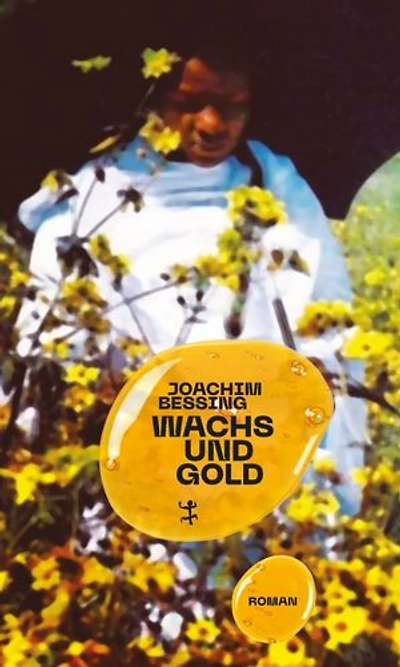 Wachs und Gold: Roman