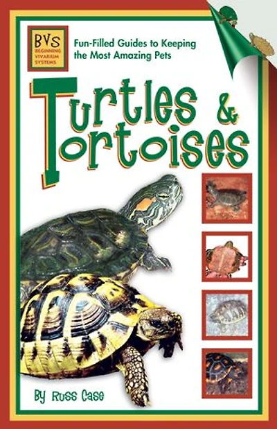 Turtles & Tortoises