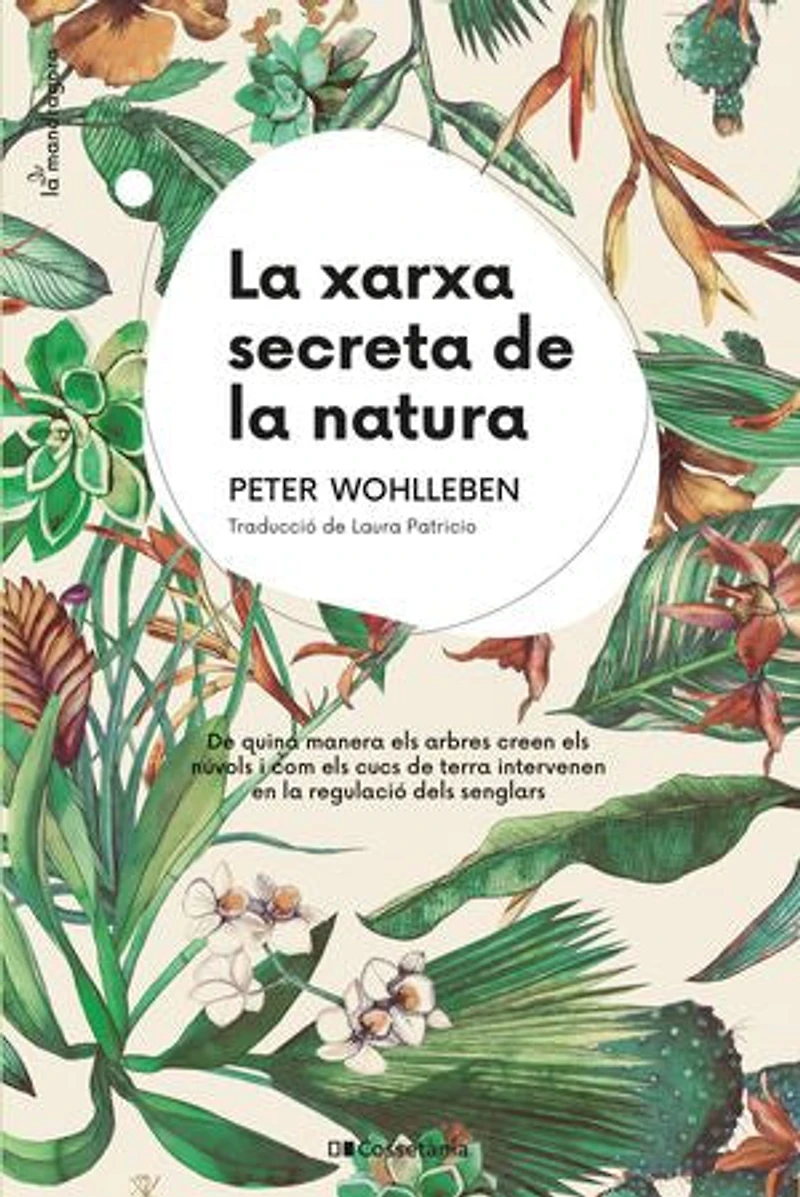 La xarxa secreta de la natura: De quina manera els arbres creen els núvols i com els cucs de terra intervenen en la regulació dels senglars