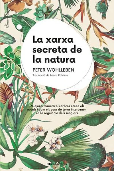 La xarxa secreta de la natura: De quina manera els arbres creen els núvols i com els cucs de terra intervenen en la regulació dels senglars