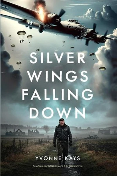Silver Wings Falling Down