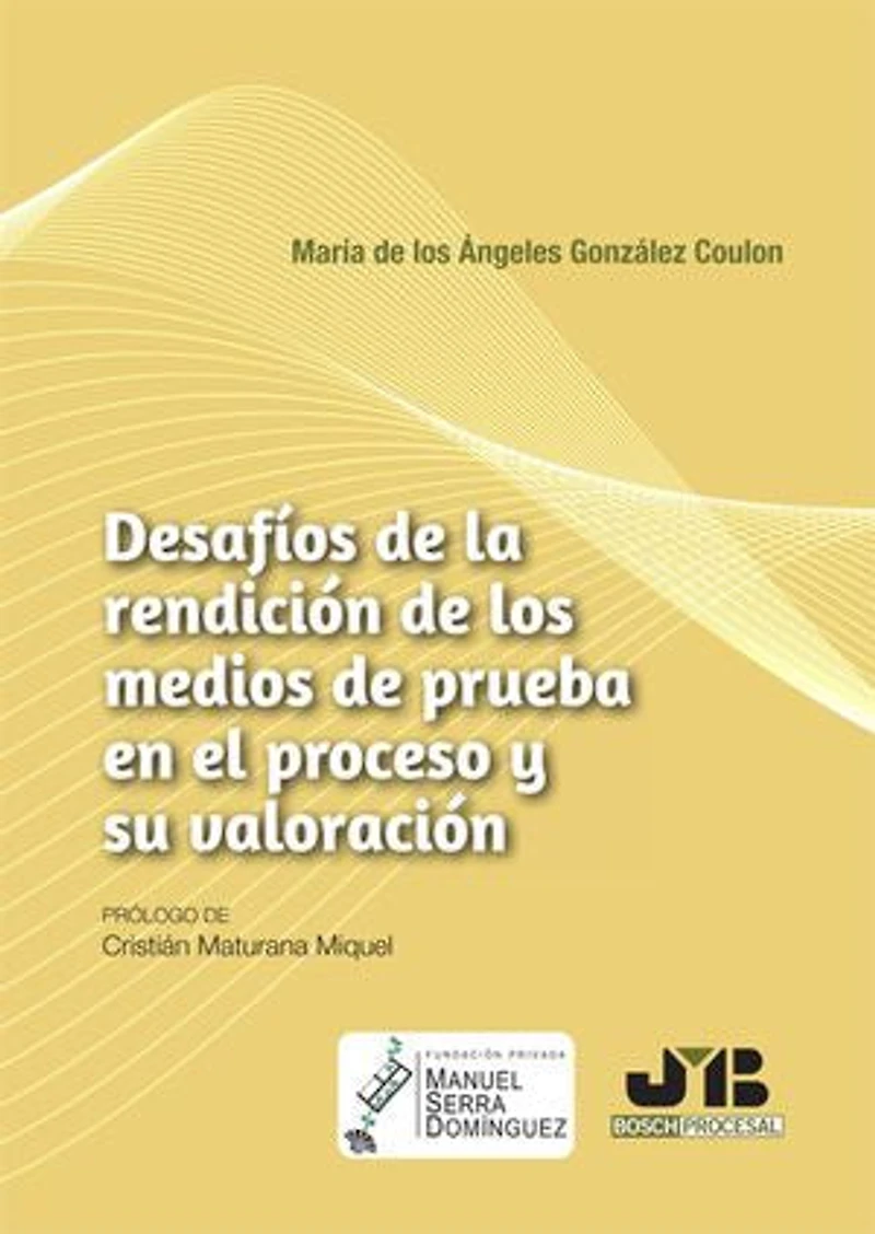 Desafíos de la rendición los medios prueba en el proceso y su valoración