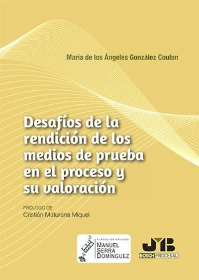 Desafíos de la rendición los medios prueba en el proceso y su valoración