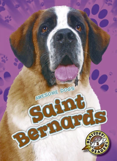 Saint Bernards