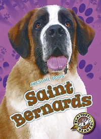 Saint Bernards