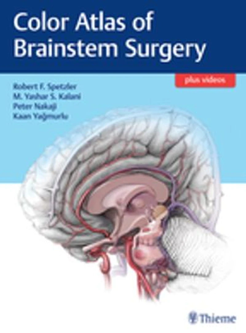 Color Atlas Of Brainstem Surgery