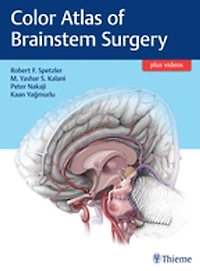Color Atlas Of Brainstem Surgery