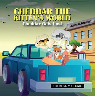 Cheddar The Kitten's World: Cheddar Gets Lost