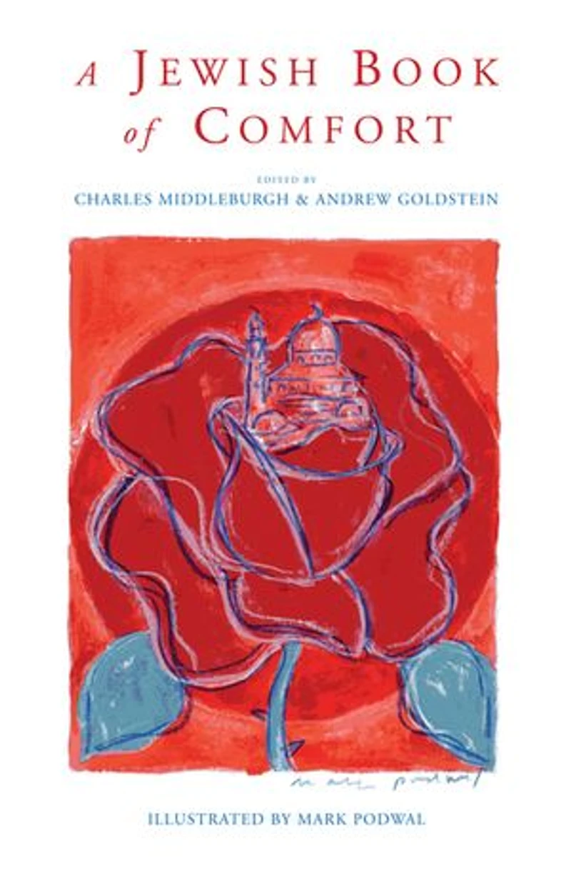 A Jewish Book of Comfort: Three thousand years wisdom and experience