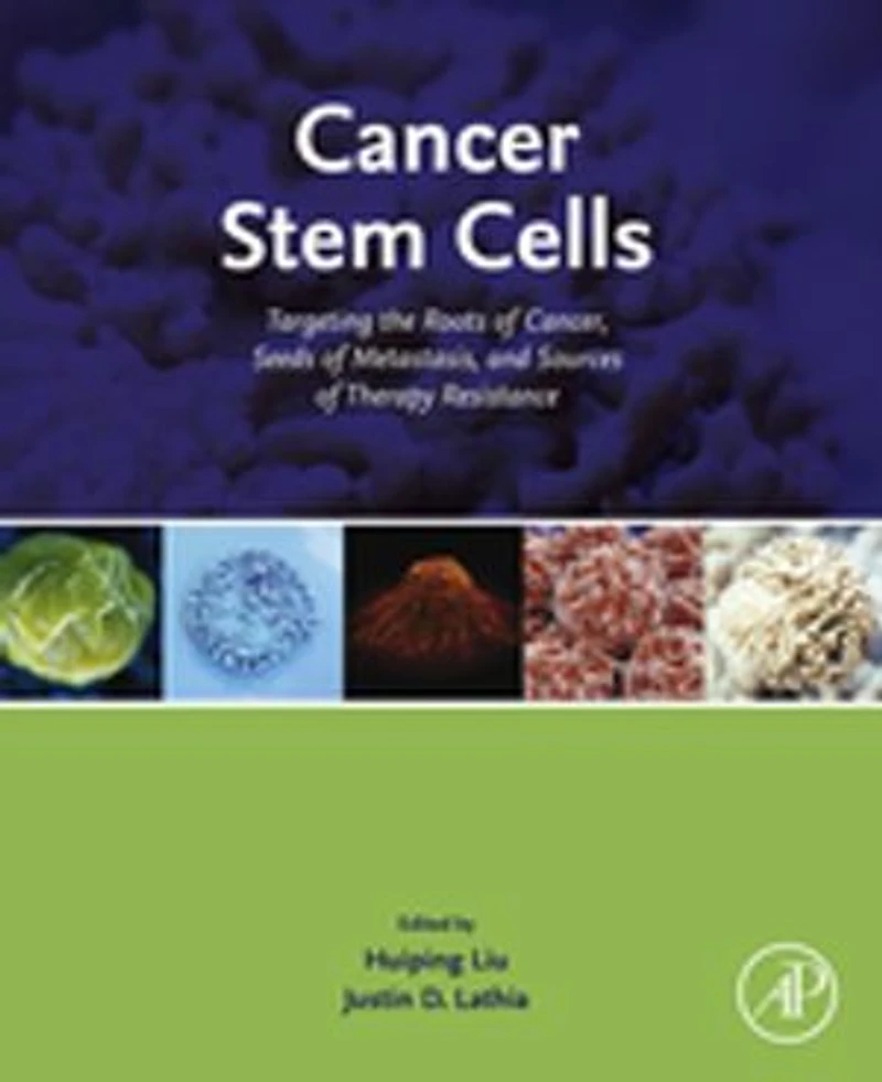 Cancer Stem Cells: Targeting The Roots Of Cancer, Seeds Metastasis, And Sources Therapy Resistance