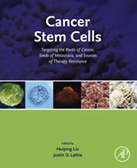 Cancer Stem Cells: Targeting The Roots Of Cancer, Seeds Metastasis, And Sources Therapy Resistance