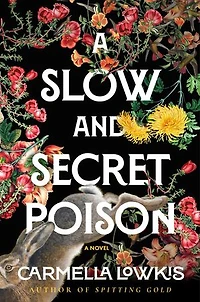 A Slow and Secret Poison: Novel