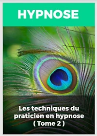 LES TECHNIQUES DU PRATICIEN EN HYPNOSE (TOME 2)