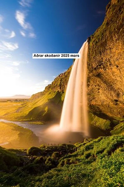Aðrar skoðanir 2025 mars