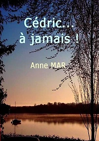 Cédric... à jamais !: Cédric, passé de l'autre côté, entrouvre le voile