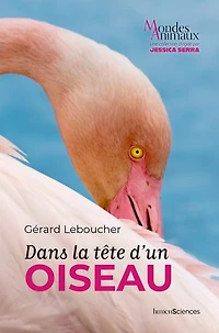 Dans la tête d'un oiseau