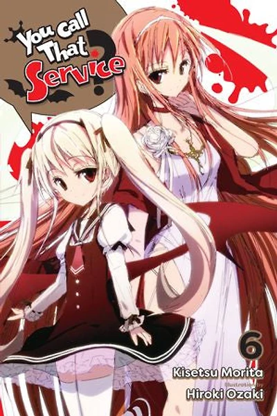 You Call That Service?, Vol. 6 (light Novel)