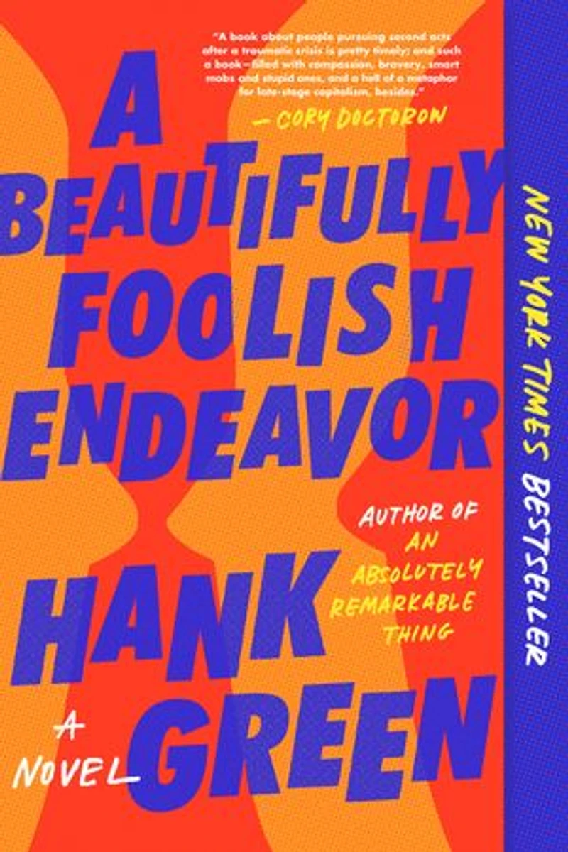 A Beautifully Foolish Endeavor: Novel
