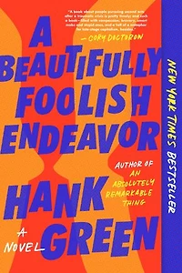 A Beautifully Foolish Endeavor: Novel