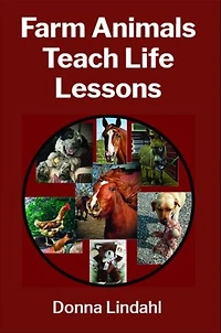 Farm Animals Teach Life Lessons
