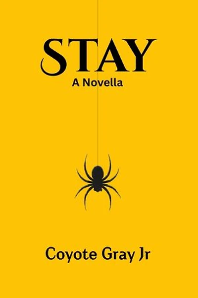 Stay: A Novella
