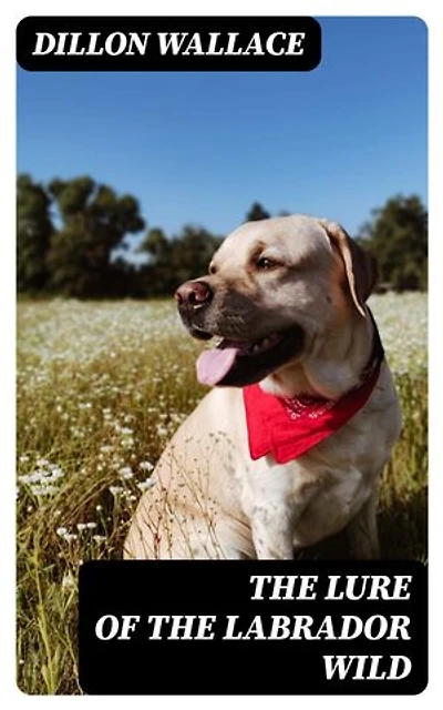 The Lure of the Labrador Wild
